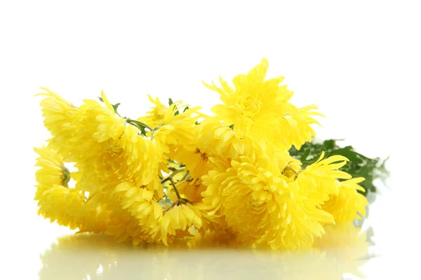 Strauß schöner Chrysanthemenblüten, isoliert auf weiß — Stockfoto