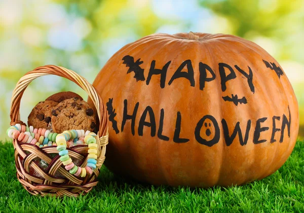 Zucca di Halloween su erba su sfondo luminoso — Foto Stock