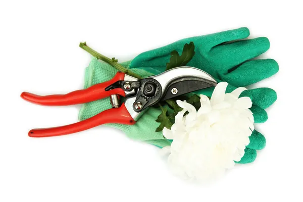 Secateurs with flower isolated on white — Stock Photo, Image