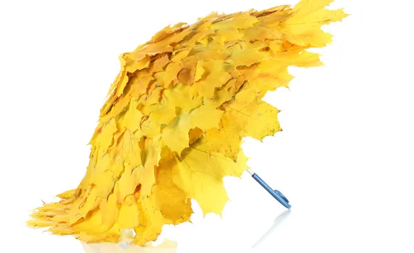 Maple leaves umbrella isolated on white — Stock Photo, Image