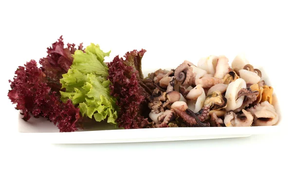 Hälsosamma skaldjur sallad med räkor, bläckfisk och musslor, bläckfiskar isolerad på vit — Stockfoto