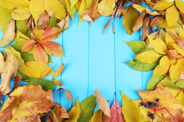 Bright autumn leaves on blue wooden board background — Stock Photo, Image