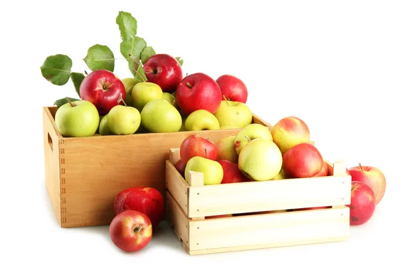 Manzanas jugosas con hojas verdes en cajas de madera, aisladas en blanco —  Fotos de Stock
