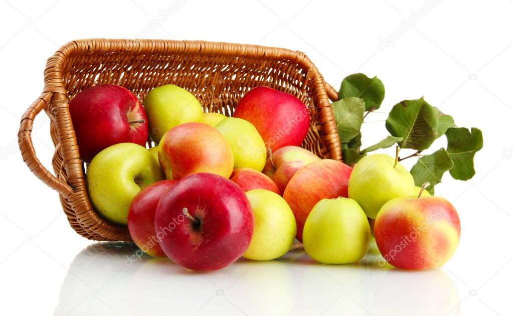 juicy apples with green leaves in basket, isolated on white