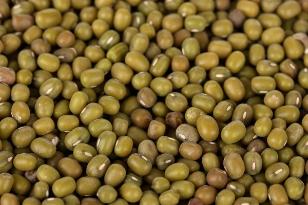 Mung beans — Stock Photo, Image