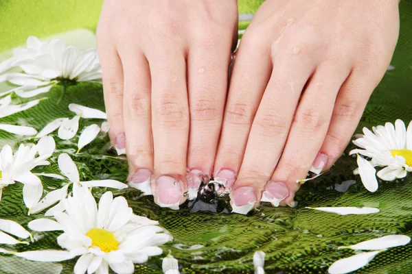 Mani donna con manicure francese e fiori in ciotola verde con acqua — Foto Stock