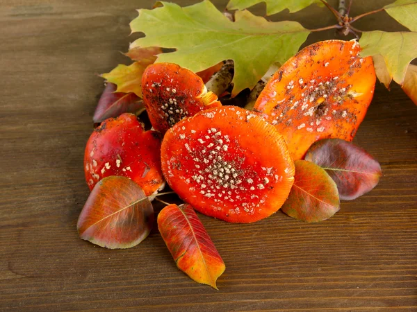 Red amanitas, on wooden background — Stock Photo, Image