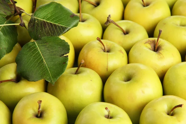 Manzanas jugosas con hojas verdes, de cerca —  Fotos de Stock