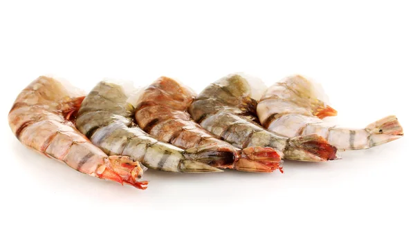 Prawns isolated on white — Stock Photo, Image