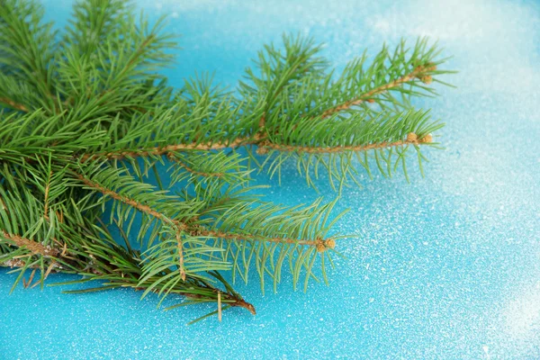 Mooie fir tree, op blauwe achtergrond — Stockfoto