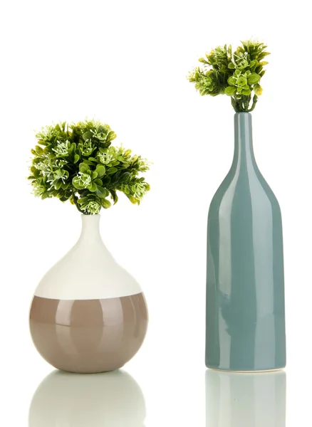 Flores decorativas em vasos isolados em branco — Fotografia de Stock