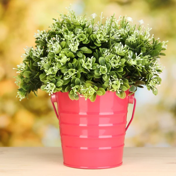 Decoratieve bloemen in pot op lichte achtergrond — Stockfoto