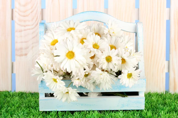 Flowers in wooden box on grass on blue background