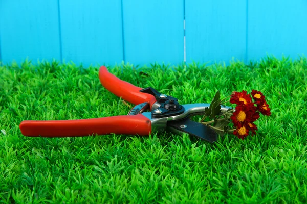 Secateurs with flower on grass on fence background — Stock Photo, Image