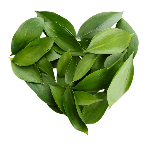 Hjärtat av vackra gröna blad, isolerad på vit — Stockfoto