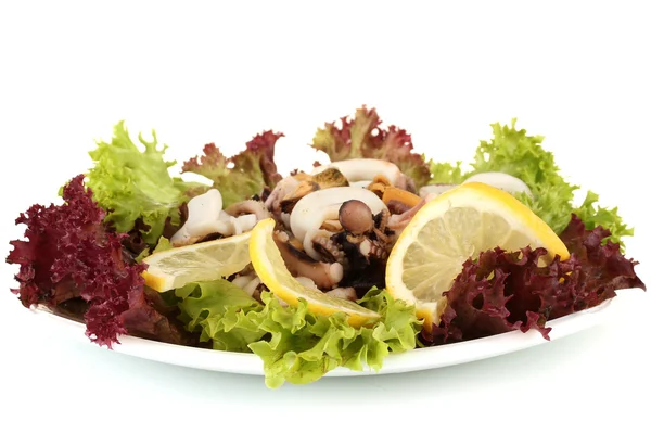 Zdrowe owoce sałatka z krewetek, ośmiornice i małże, kalmary na białym tle — Zdjęcie stockowe