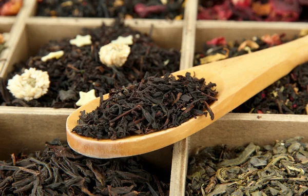 Sortiment av torr te i trälåda, närbild — Stockfoto