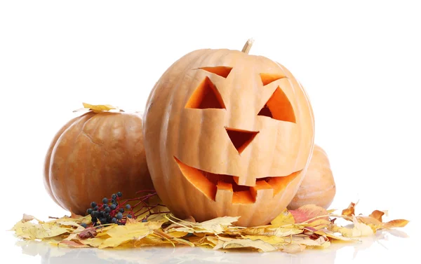 Halloween pumpkins and autumn leaves, isolated on white — Stock Photo, Image