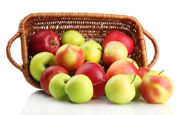 Juicy apples in basket, isolated on white — Stock Photo, Image