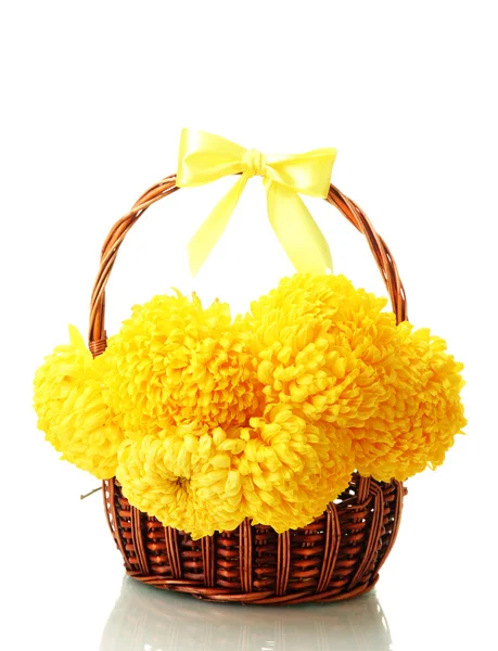 Crisantemos de color amarillo brillante en cesta, aislados en blanco —  Fotos de Stock