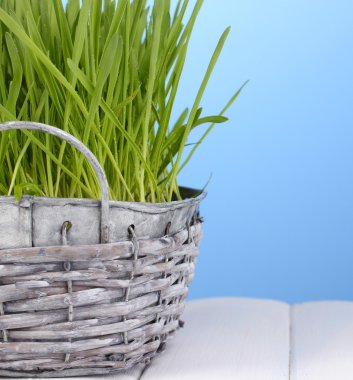 sepet üzerinde ahşap masa mavi zemin üzerine yeşil çim