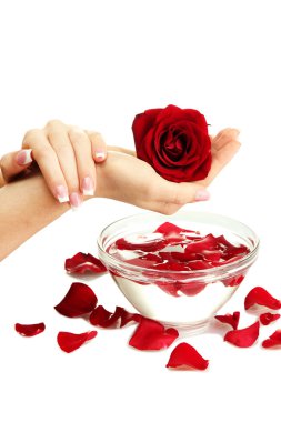 cam kase su yaprakları, üzerinde beyaz izole kadın elle