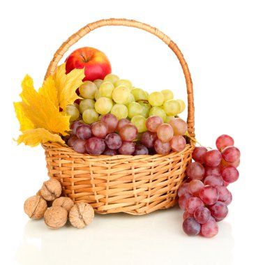 Sepette Beyaz izole Fındıklı üzüm