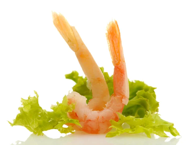 Boiled shrimp and lettuce leaf, isolated on white — Stock Photo, Image
