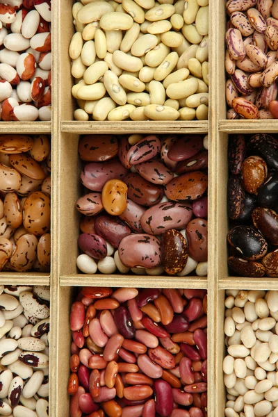 Diverse beans in wooden box sections close-up — Stock Photo, Image