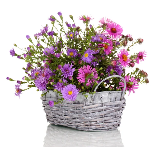 Beautiful bouquet of purple flowers in basket isolated on white — Stock Photo, Image