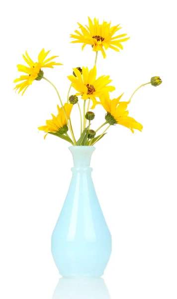 Beautiful yellow flowers in vase isolated on white — Stock Photo, Image