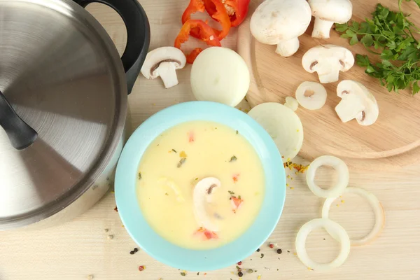 El proceso de la preparación la sopa con los ingredientes alrededor a la mesa el primer plano — Foto de Stock