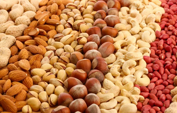 Assortment of tasty nuts, close up — Stock Photo, Image