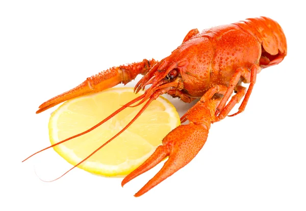 Tasty boiled crayfish with lemon isolated on white — Stock Photo, Image
