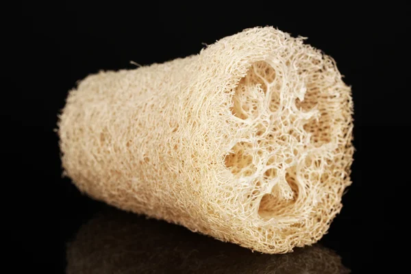 siyah üzerine izole lif kabağı