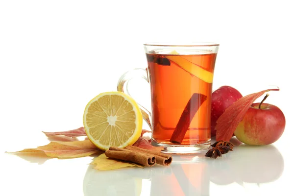 Csésze forró tea és az ősz, elszigetelt fehér — Stock Fotó