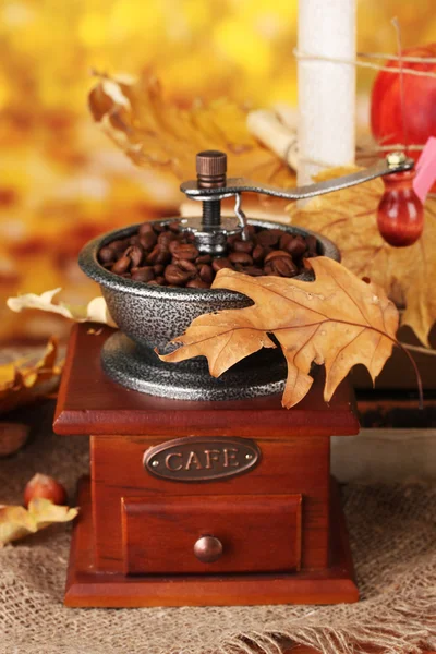 Coffee grinder and leaves on bright background, close up — Stock Photo, Image