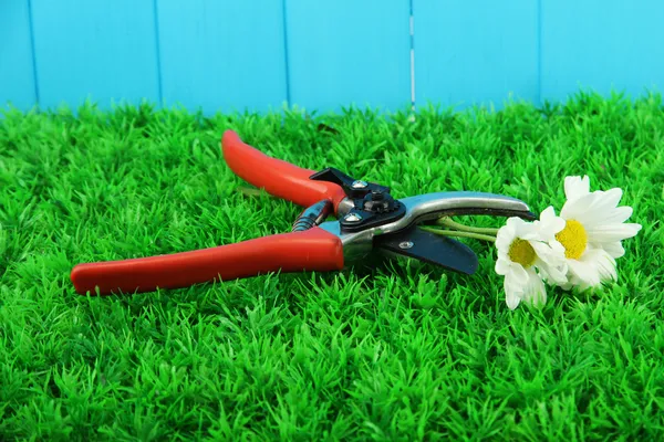 Secateurs with flower on grass on fence background — Stock Photo, Image