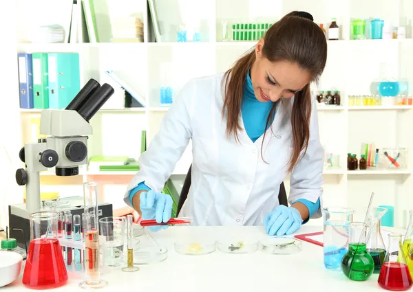 Junge Wissenschaftlerin mit Petrischale im Labor — Stockfoto