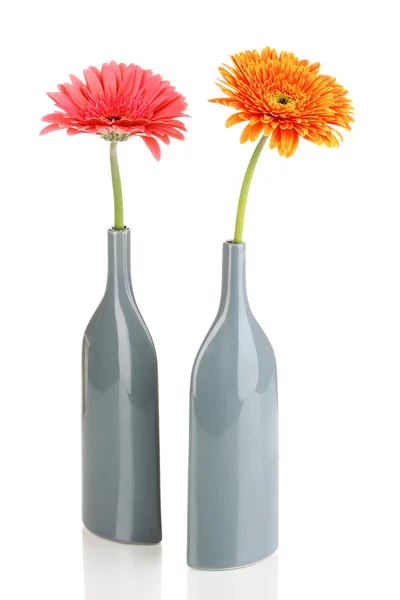 Krásný gerber v váza izolovaných na bílém — Stock fotografie