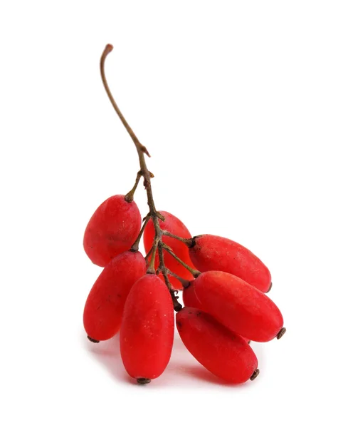 Спелые ягоды на ветке изолированы белым — стоковое фото