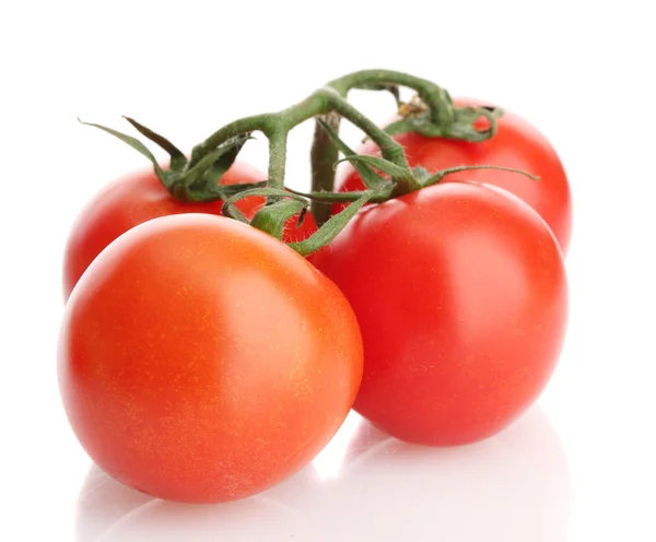 Tomates cerises sur une branche avec des gouttes isolées sur blanc — Photo