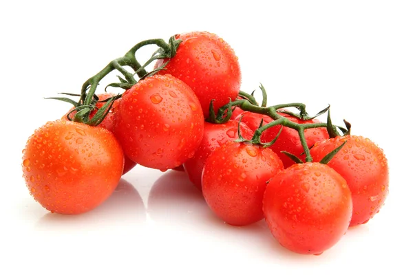 Pomodori ciliegia su un ramo con gocce isolate su bianco — Foto Stock