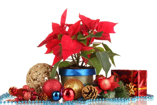 Krásné vánoční hvězda s vánoční koule a dárky izolovaných na bílém — Stock fotografie