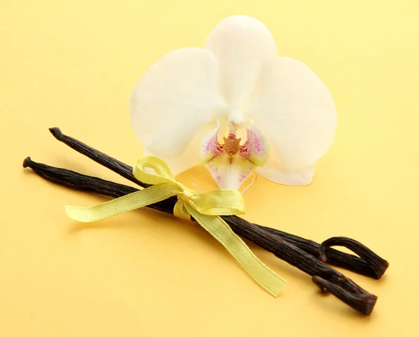 Vainas de vainilla con flor, sobre fondo amarillo — Foto de Stock