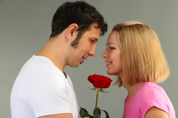 Casal amoroso com rosa no fundo cinza — Fotografia de Stock