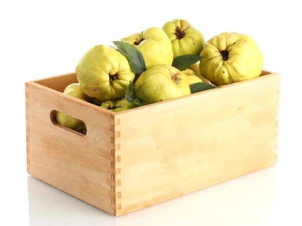 Mele cotogne dolci con foglie in cassa di legno, isolate su bianco — Foto Stock