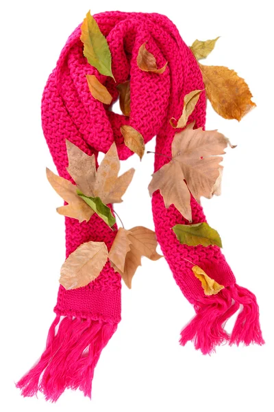 Warm knitted scarf pink with autumn foliage isolated on white — Stock Photo, Image