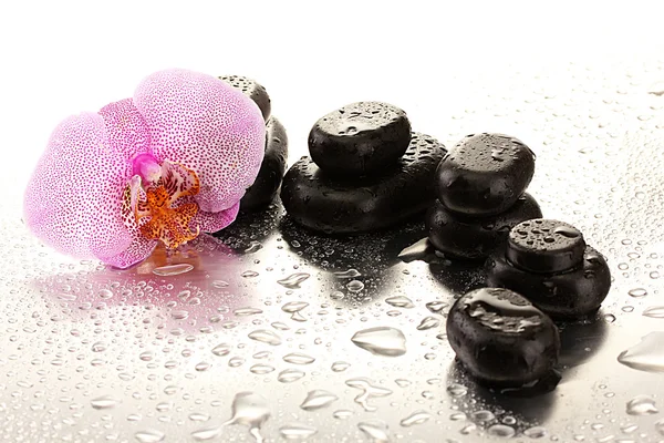 Piedras de spa y flor de orquídea, sobre fondo húmedo — Foto de Stock