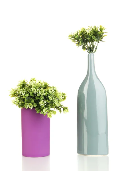 Flores decorativas em vasos isolados em branco — Fotografia de Stock